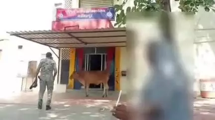 नरसिंहपुर: SP ऑफिस पहुंची पीड़िता, पति पर सौतन लाने का आरोप, कार्रवाई की मांग