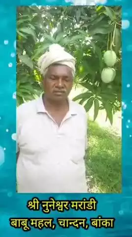 बांका के प्रगतिशील कृषक श्री नुनेश्वर मरांडी #bameti.bihar #krishibihar