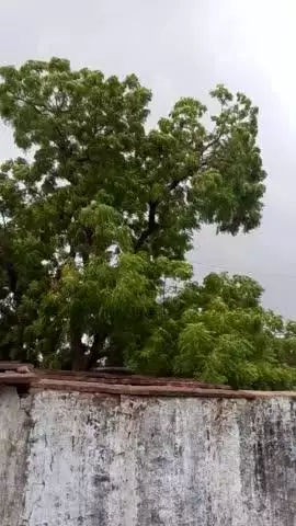 गांव उलूपुरा मैं बारिश और आंधी एक साथ आई आप का दोस्त मोहन लाल मीना
