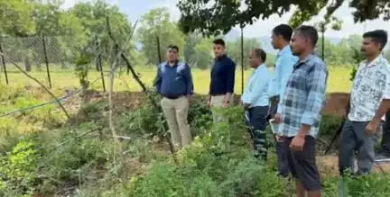 दंतेवाड़ा: दन्तेवाड़ा कलेक्टर कुणाल दुदावत ने पंडेवार में 7 एकड़ क्षेत्र में विकसित एफआरए क्लस्टर का किया निरीक्षण