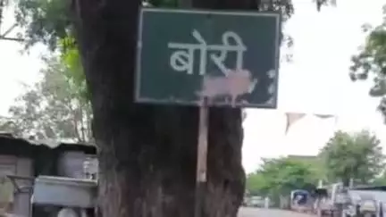 दारव्हा: बोरी अरब येथील कृषी उत्पन्न बाजार समिती येथे  शेतकरी मेळावा व कृषी प्रदर्शनाचे आयोजन