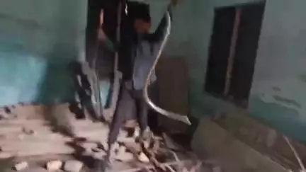 বিজনী ভাগ: বিজনীৰ মতিলাল বগৰীয়া মজলীয়া বিদ্যালয়ত কাল দাৰাইজ সাপ উদ্ধাৰ,গটালে বন বিভাগক