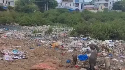 సంగారెడ్డి: సంగారెడ్డిలో ఇళ్ల ముందు మురుగునీరు,దుర్వాసనతో ఇబ్బందులు #localissue