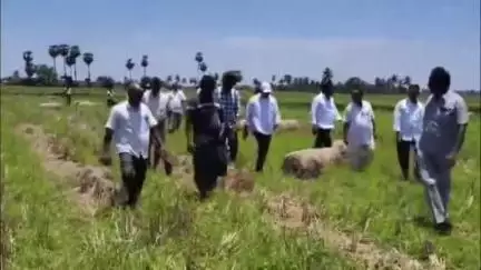 రాజమండ్రి సిటీ: కొవ్వాడ కాలువ పూడికతీత పనులు పరిశీలించిన కొవ్వూరు ఎమ్మెల్యే ముప్పిడి