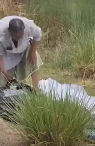 फतेेहपुर: असोहना गांव के पास रेलवे ट्रैक किनारे मिला युवक का शव, आधार कार्ड से हुई पहचान