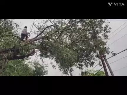सिरदला: आंधी तूफान ने मचाया उत्पात, हल्की बारिश और अंधड़ तूफान से बिजली व्यवस्था पर पड़ा असर