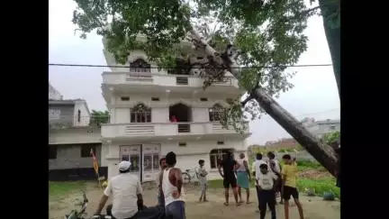 बड़हरिया: बड़हरिया प्रखंड के कई गांवों में तेज आंधी और बारिश से गिरे कई पेड़
