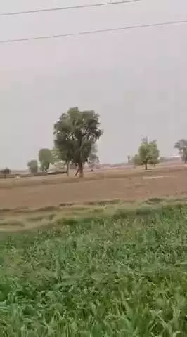 श्रीविजयनगर के ग्रामीण क्षेत्रों में तूफान ने तोड़े विद्युत पोल व पेड़, सामने आई नुकसान की तस्वीर