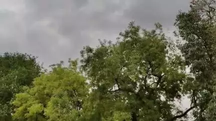 पहली बारिश भूजल को पुनः भरने, पौधों को नमी प्रदान करने तथा कृषि को बढ़ावा देने के लिए महत्वपूर्ण है  Rain begins #Dabra