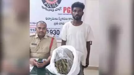 తుని పట్టణంలో ఐదు కేజీల గంజాయితో తమిళనాడు రాష్ట్రానికి చెందిన వ్యక్తి అరెస్ట్