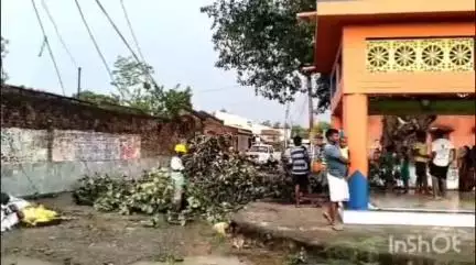 ছাতনা: শুশুনিয়া গ্রামের ছাতাতোলা এলাকায় একটি বটগাছের ডাল ইলেকট্রিকের তারের উপর ভেঙে পড়ায় এলাকা বিদ্যুৎহীন