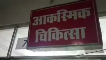 ढीमरखेड़ा: चखला गांव में घर पर काम करते वक्त 30 वर्षीय महिला को सांप ने काटा, इलाज जारी