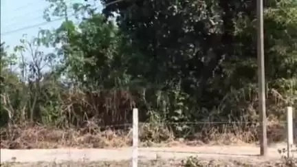 मंडला: सागर: पंचायत में पेयजल के लिए कराए बोर पर किसी और ने किया कब्जा, तहसीलदार से शिकायत