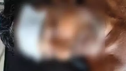 পুরুলিয়া ২: বাঘমুন্ডি থানার ভুরসু গ্রামে ভাইয়ের হাতে দাদা খুন, দেহ ময়নাতদন্তে আনা হলো পুরুলিয়া মেডিকেলের মর্গে