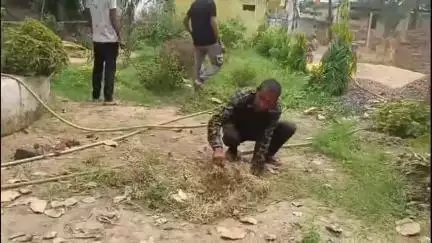 बलौदा: कोसमन्दा गांव के जय महाकाल सेवा समिति के अथक प्रयास से भेलवा तालाब को मिला नया रूप