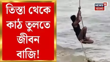 Jalpaiguri News : Teesta থেকে কাঠ তুলতে জীবন বাজি! RPF জরিমানা করলেও ডোন্ট কেয়ার! | Bangla News