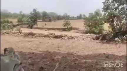 बारां: उपवन संरक्षक अनिल यादव के नेतृत्व में बड़ी कार्रवाई, शाहाबाद क्षेत्र में 480 बीघा वन भूमि को अतिक्रमण मुक्त किया गया