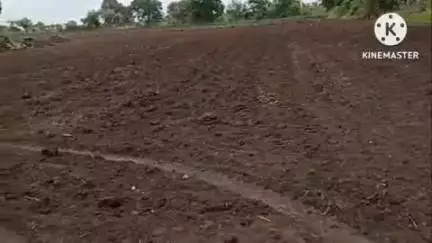 कारंजा: पुतण्याने काकाला क्षूल्लक कारणावरून केली उभारीने मारहाण.. बोरगाव धावसा शेतशिवारातील घटना