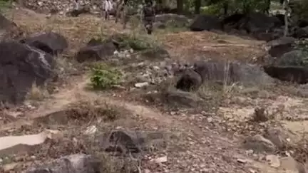 पन्ना: जिले के तराई क्षेत्र के जंगलों में डकैतों की आहट, पिपराही में घर के बाहर सो रहे अधेड़ का अपहरण, चकमा देकर भागा