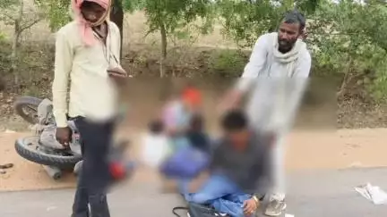 गौरिहार: बारीगढ़ की तरफ जा रहे बाइक सवार नीलगाय से टकराए, दंपति और 2 बच्चे हुए घायल