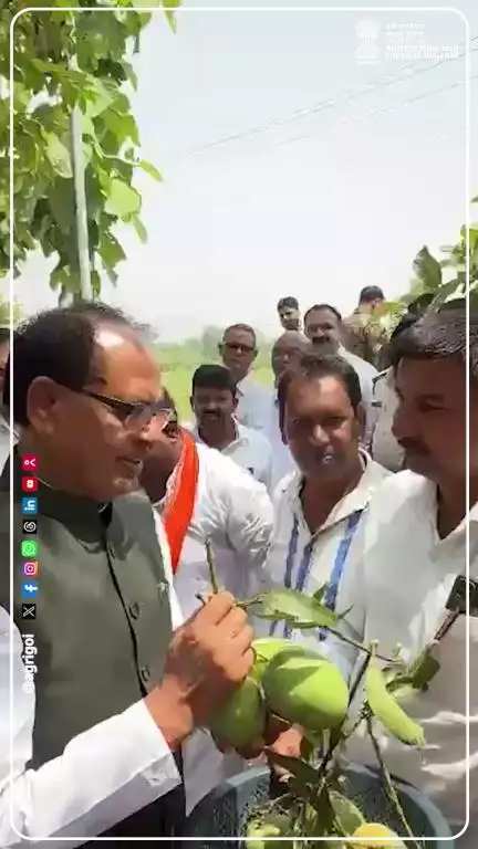 मालदा आम की उन्नत खेती से सुरेंद्र बने मिसाल, माननीय केंद्रीय कृषि मंत्री ने की सराहना 

#ViksitKrishiSankalp2025