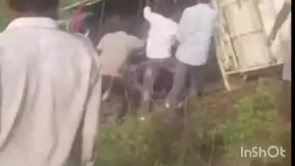 भवनाथपुर: भवनाथपुर में डीजे वाहन पलटने से चालक और एक महिला कलाकार गंभीर रूप से घायल