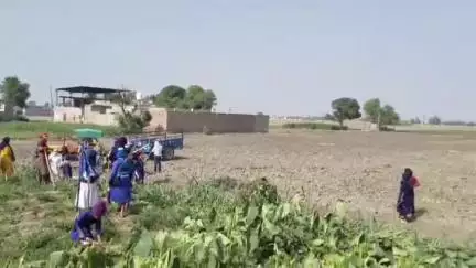 ਗੁਰੂ ਹਰਸਹਾਏ: ਪਿੰਡ ਛਾਂਗਾ ਰਾਏ ਵਿਖੇ ਪਰਿਵਾਰ ਵੱਲੋਂ ਨਿਹੰਗ ਸਿੰਘਾਂ 'ਤੇ ਲਗਾਏ ਧੱਕੇ ਨਾਲ ਜਮੀਨ ਤੇ ਕਬਜ਼ਾ ਕਰਨ ਦੇ ਇਲਜ਼ਾਮ, CCTV ਫੁਟੇਜ ਆਈ ਸਾਹਮਣੇ