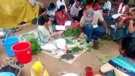 कामडारा: गांव चटकपुर में प्रदान संस्था द्वारा महिलाओं को जैविक खेती का प्रशिक्षण दिया गया
