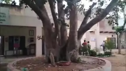 महेंद्रगढ़: शहर के एक मोहल्ले से एक ही दिन 2 लड़कियां अपने-अपने घर से हुई लापता, परिजनों ने करवाया मामला दर्ज