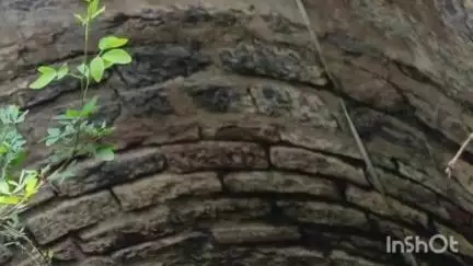 मुंगेली: मुंगेली में जलदूत ऐप से खुले कुओं का जलस्तर मापा जा रहा है, प्री-मानसून सर्वे 15 जून तक चलेगा