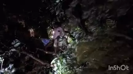 उधवा: कटहलबाड़ी पंचायत के जयंतीग्राम में आंधी-बारिश से पेड़ का डाल युवक पर गिरा, युवक घायल