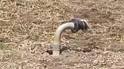 दलौदा: ग्राम बानी खेड़ी में पाइपलाइन विवाद सुर्खियों में, दलोदा थाने में तहसीलदार एवं TI ने दोनों पक्षों को शांत कराया