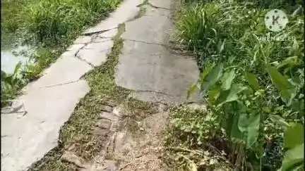 কুলপি: নিশ্চিন্তপুরে কামারপাড়া রাস্তা বেহাল সেই নিয়ে সড়ক হয়েছেন সিপিআইএম প্রধান কথা দিয়ে কথা রাখেনি#jansamasya