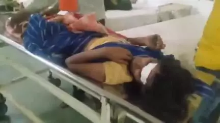अशोक नगर: सिरसोरा गांव में सांड ने 50 वर्षीय महिला पर किया हमला, महिला गंभीर रूप से घायल