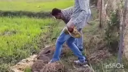 कुरूद: ग्राम कोपेडीह में खेत में छुपा कर रखे लगभग 40 क्विंटल महुआ लहान को भखारा पुलिस ने किया नष्ट