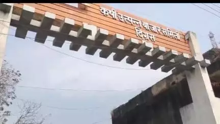 दिग्रस: शहरातील कृषी उत्पन्न बाजार समिती येथे भरणार बैल बाजार ७ जूनला बंद राहणार, बाजार समितीचे आदेश