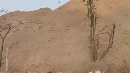 सिलपतपुरा में सड़क किनारे खनन माफियाओं के रेत के अवैध डंप, खनिज अधिकारी बोले- जांच के बाद होगी कार्यवाही