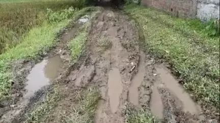 ধুবুৰী ভাগ: উত্তৰ ৰায়পুৰ ৩য় খণ্ড গাঁৱত ২২৩৩ নং এলপি স্কুললৈ যোৱা মুখ্য পথৰ দুৰৱস্থা, ক্ষোভিত ৰাইজ