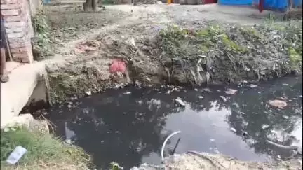 निचलौल: ग्राम सभा सेखुई निवासी व्यक्ति ने अपने घर के पास नाली नहीं बनाए जाने के संबंध में दी जानकारी