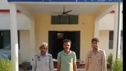 पाली: उपद्रव मचाने के आरोप में नाराहट पुलिस ने पारौल निवासी एक आरोपी पर शांति भंग की धाराओं में कार्रवाई की, भेजा न्यायालय