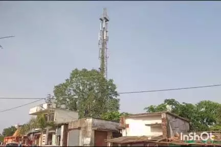 राजूरा: राजुरा विधानसभा क्षेत्रातील जिवती तालुक्यातील बीएसएनएल टॉवर सुरू करा: सुदाम राठोड यांची मागणी
#jansamasya