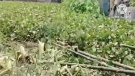 ঠাকুরপুকুর-মহেশতলা: বাগপাড়া এলাকায় অবৈধ খাল ভরাটের কাজ বন্ধ করলো স্থানীয়রা এ বিষয়ে স্থানীয় কাউন্সিলর কি বললেন শুনুন#jansamasya