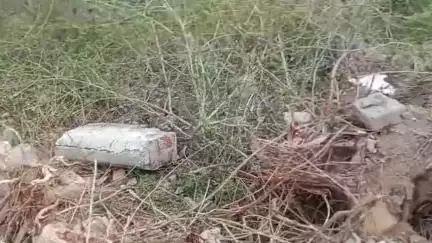 गंगधार: पुआरखेड़ी में चारागाह भूमि पर अवैध कब्जे को लेकर ग्रामीणों ने उपखंड अधिकारी व तहसीलदार को सौंपा ज्ञापन