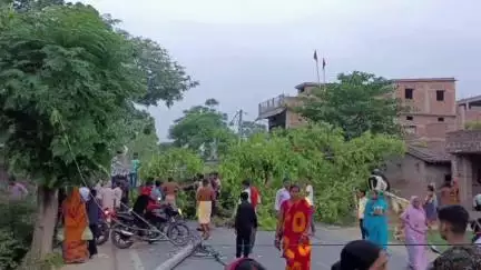 सहदेई बुजुर्ग: हाजीपुर-महनार मार्ग पर सुलतानपुर बजरंगबली चौक के पास सड़क पर गिरा विशाल पेड़, यातायात बाधित