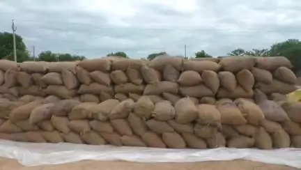 ଓରିଏଣ୍ଟ: ଜିଲ୍ଲା ଲଖନପୁର ବ୍ଲକ ର ୭୯୬ ଜଣ ଚାଷୀଙ୍କ ଧାନ କିଣିବେ ସରକାର