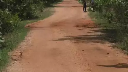 ବୌଦ୍ଧ ସଦର: ସୌରୀପାଲିରୁ ଦମାମୁଣ୍ଡାକୁ ସଂଯୋଗ କରୁଥିବା ଗ୍ରାମ୍ୟ ରାସ୍ତା ସାଜିଛି ମରଣ ଯନ୍ତା, ଯାତାୟାତରେ ବାଧାପ୍ରାପ୍ତ #jansamasya