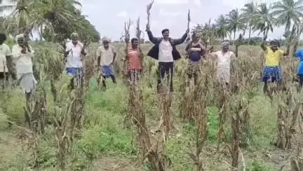 ರಾಣೇಬೆನ್ನೂರು: ತಾಲ್ಲೂಕಿನಲ್ಲಿ ನಕಲಿ ಬೀಜ ನೀಡುವ ಕಂಪನಿಗಳ ಮೇಲೆ ಕ್ರಮಕ್ಕೆ ಗುಡ್ಡದ ಅನ್ವೇರಿ ಗ್ರಾಮದ ರೈತರಿಂದ ಒತ್ತಾಯ