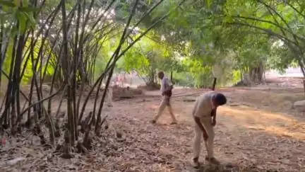 मोतिहारी: पूर्वी चंपारण मोतिहारी जिले के विभिन्न थाना क्षेत्रों में A.L.T.F. ने 5000 लीटर विनिष्ट किया, 01 को किया गिरफ्तार