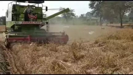 मस्तुरी: रबी सीजन के धान की बिक्री को लेकर उचित दाम न मिलने से ग्राम पंचायत कटनई के किसान परेशान
#jansamasya