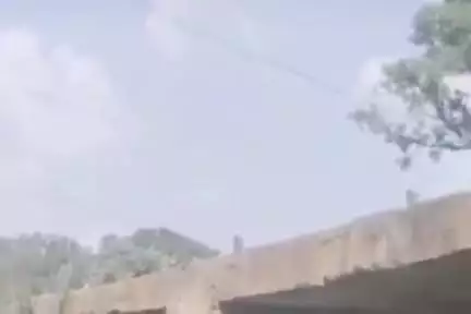 शुजालपुर: नरोला तालाब नहर पर डंपर से 25 साल पुराना पुल ढहा